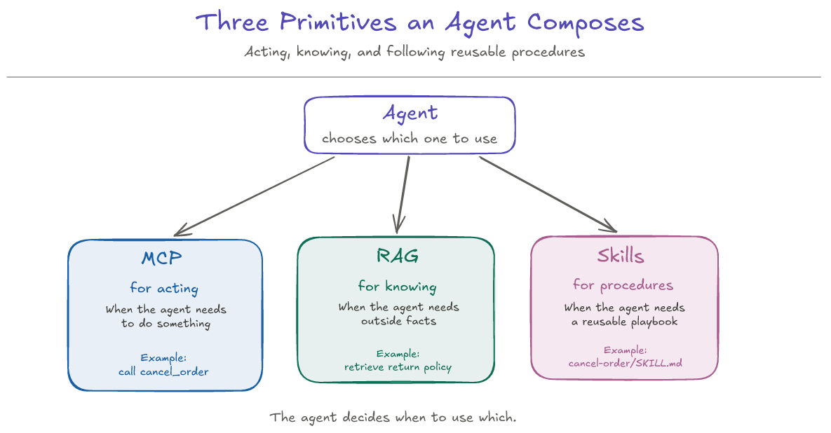 Three Primitives an Agent Composes: Acting, knowing, and following reusable procedures. An Agent container box sits at the top, with arrows descending into three columns: MCP for acting (when the agent needs to do something, example: call cancel_order), RAG for knowing (when the agent needs outside facts, example: retrieve return policy), and Skills for procedures (when the agent needs a reusable playbook, example: cancel-order/SKILL.md). Caption: The agent decides when to use which.
