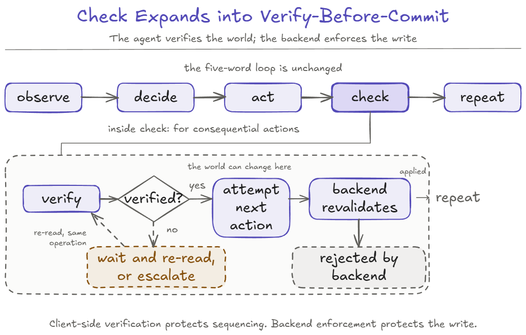 The five-word loop runs unchanged across the top: observe, decide, act, check, repeat. Below it, the check step expands. After verification succeeds, the loop attempts the commit, but the world can change before the write. The backend revalidates the precondition and either applies the action or rejects it. Failed verification leads to wait and re-read, or escalation.